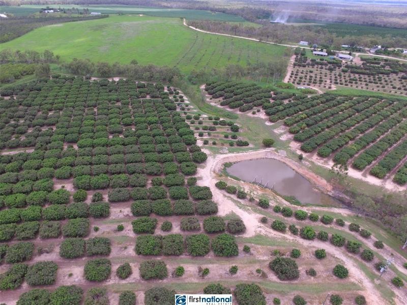 Paddys Green QLD 4880