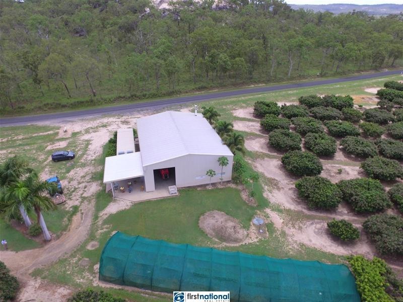 Paddys Green QLD 4880