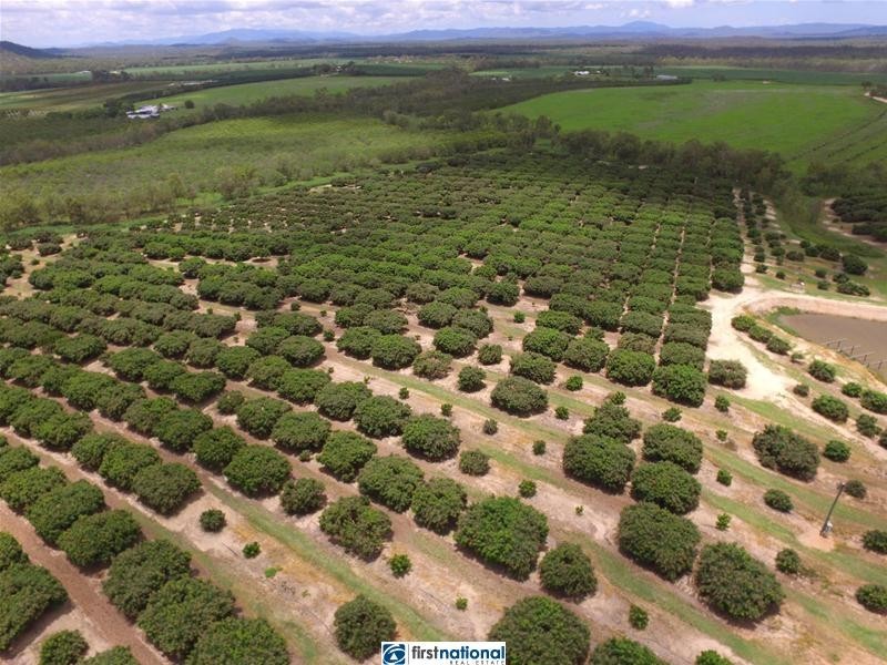 Paddys Green QLD 4880