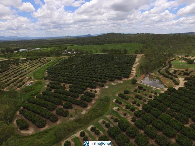 Paddys Green QLD 4880