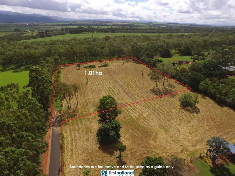 502 Palomino Avenue, Tolga QLD 4882