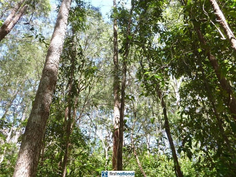 Lot Lot 1, 264 Longlands Gap Road, Wondecla QLD 4887
