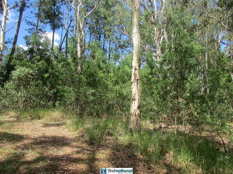 Lot Lot 1, 264 Longlands Gap Road, Wondecla QLD 4887