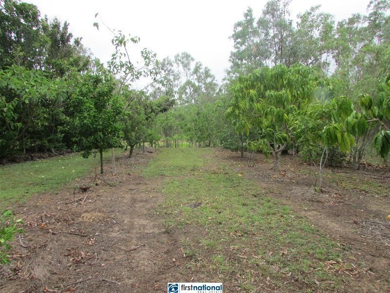 55 Bivouac Road, Ravenshoe QLD 4888