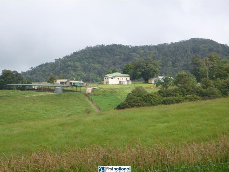 Millaa Millaa QLD 4886