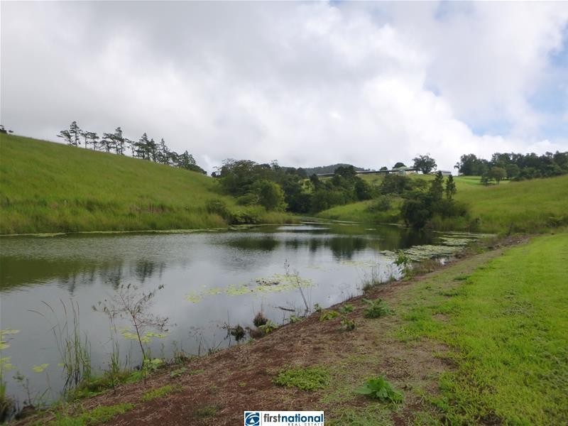 Millaa Millaa QLD 4886