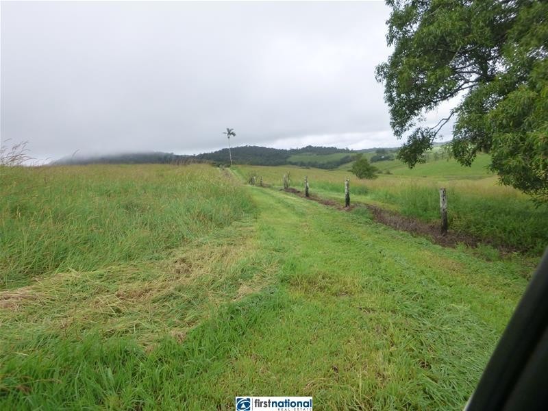 Millaa Millaa QLD 4886