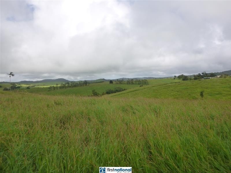 Millaa Millaa QLD 4886