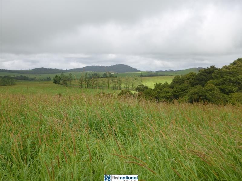 Millaa Millaa QLD 4886