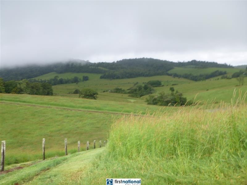 Millaa Millaa QLD 4886