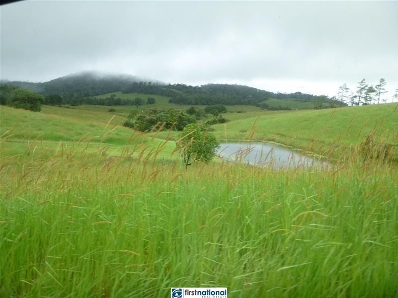 Millaa Millaa QLD 4886