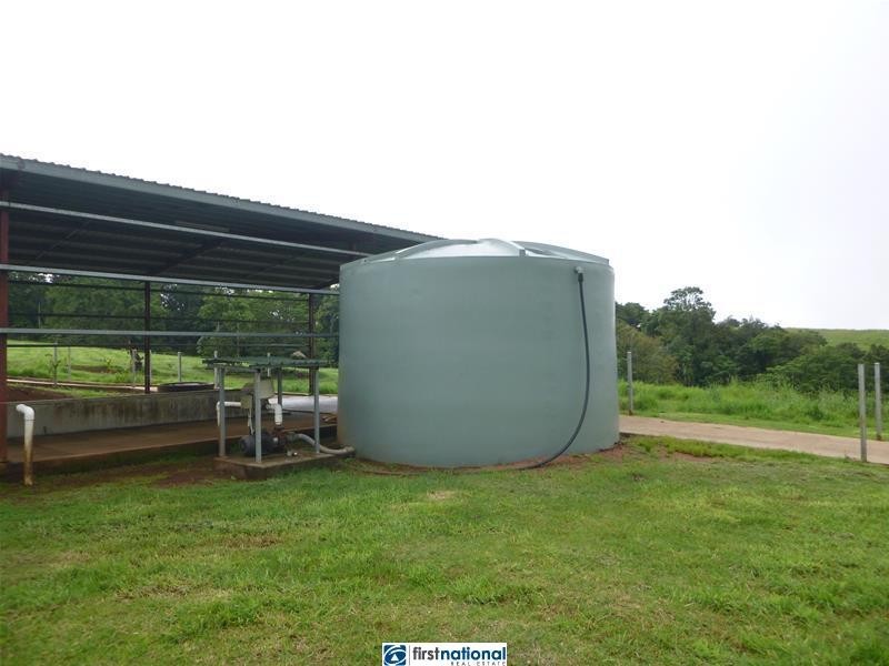 Millaa Millaa QLD 4886