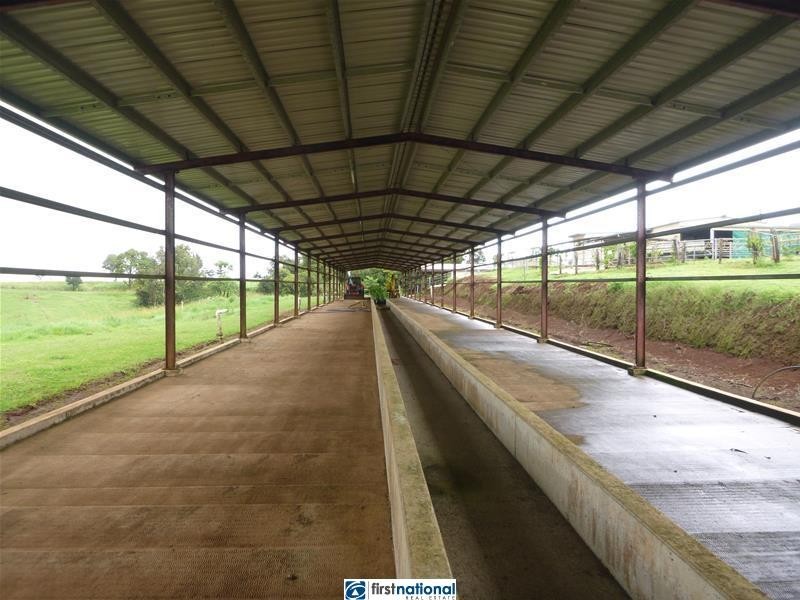 Millaa Millaa QLD 4886