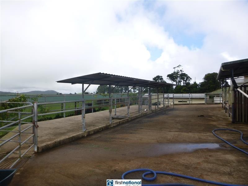 Millaa Millaa QLD 4886