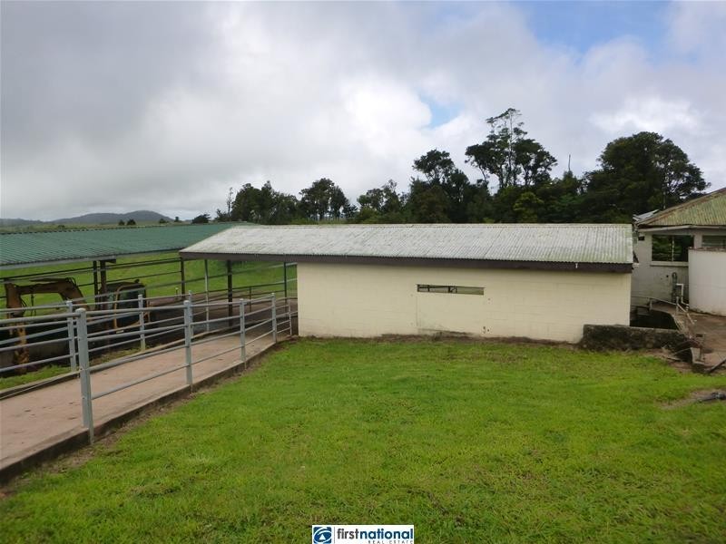 Millaa Millaa QLD 4886