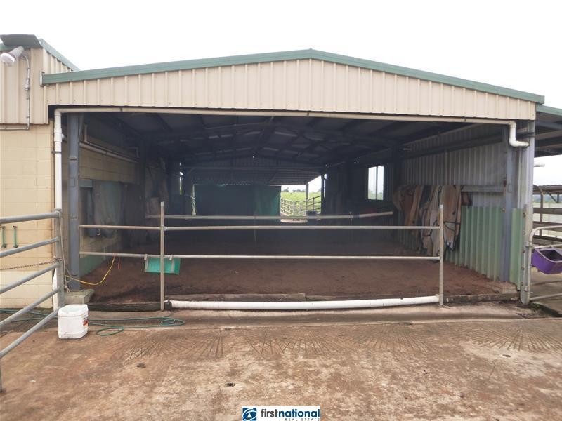 Millaa Millaa QLD 4886