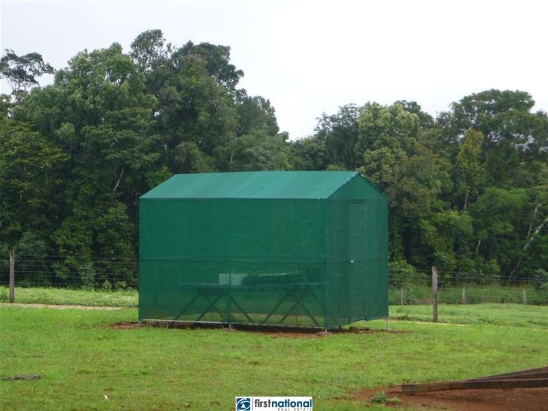 Millaa Millaa QLD 4886