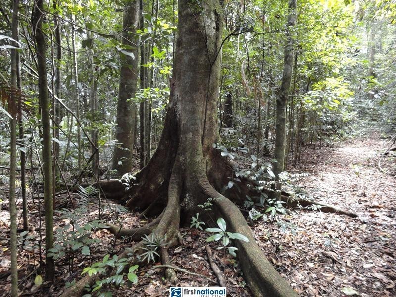 14 Millaa Malanda Road, Malanda QLD 4885