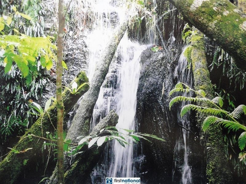 Upper Barron QLD 4883