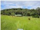 Yungaburra QLD 4884