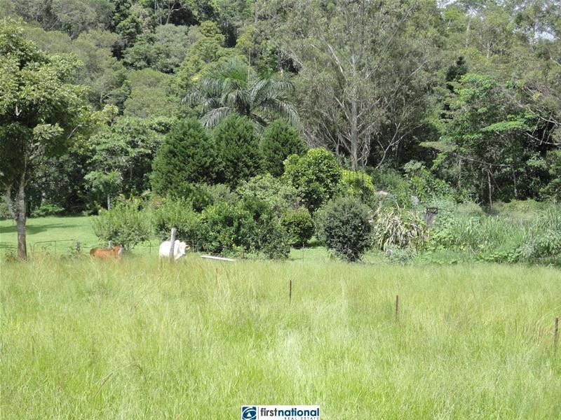 Yungaburra QLD 4884