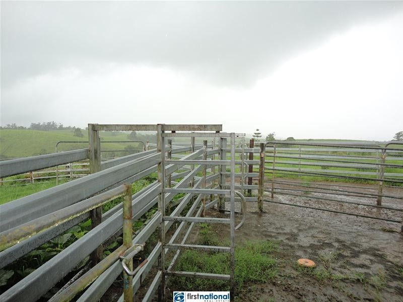 Millaa Millaa QLD 4886