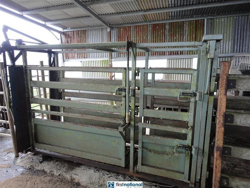 Millaa Millaa QLD 4886