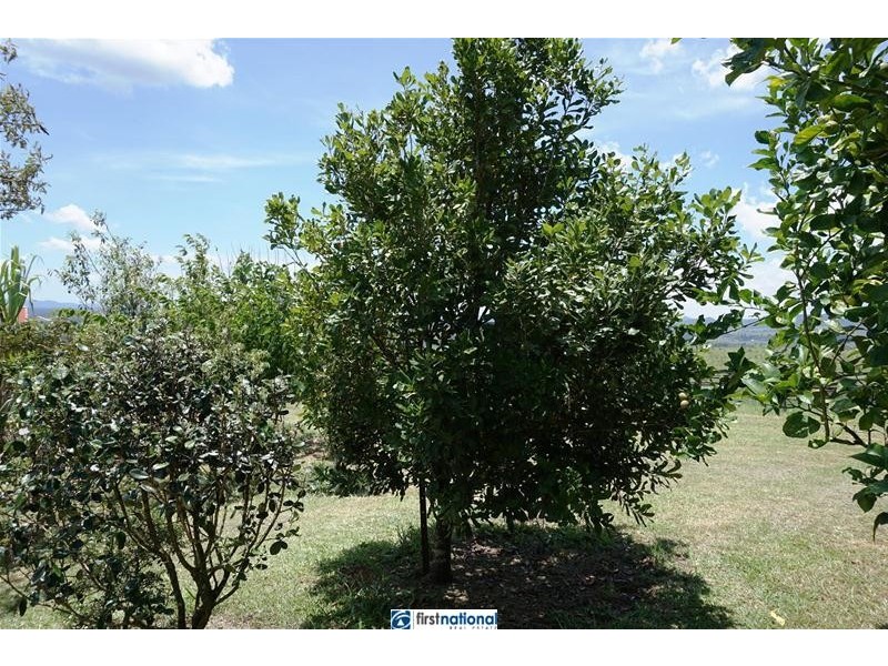 Millaa Millaa QLD 4886