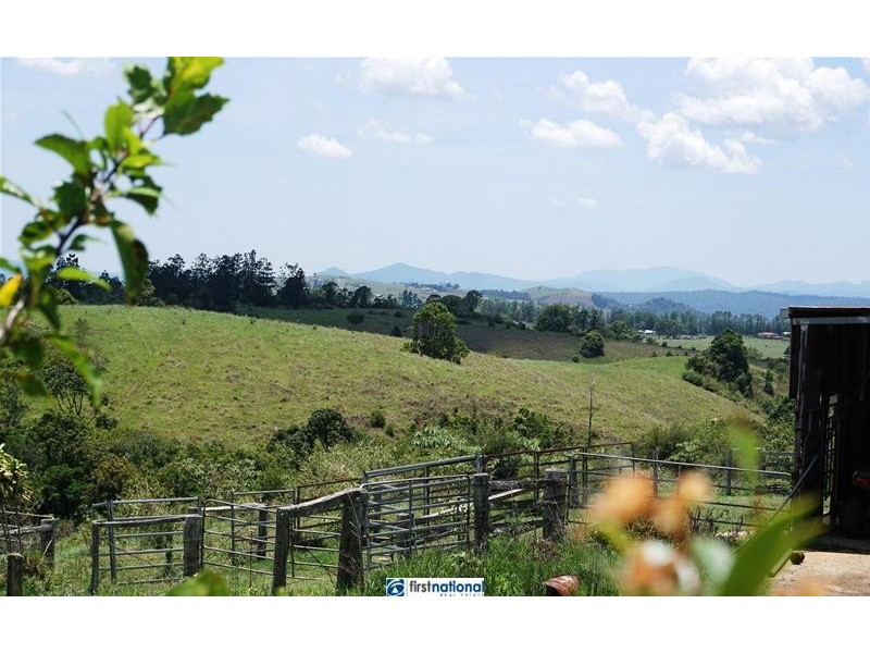 Millaa Millaa QLD 4886