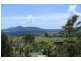 Millaa Millaa QLD 4886
