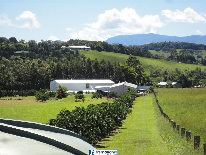 Lake Eacham QLD 4884