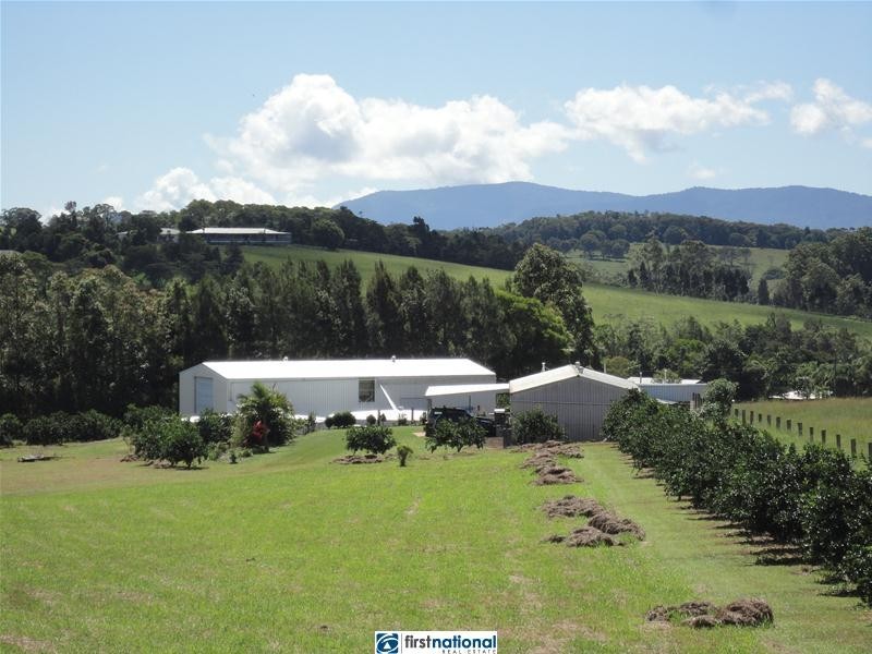 Lake Eacham QLD 4884