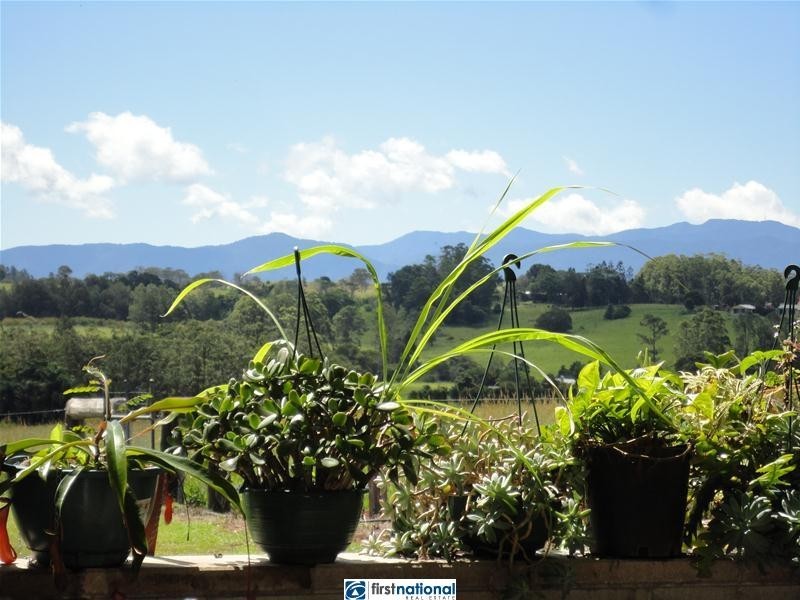 Lake Eacham QLD 4884