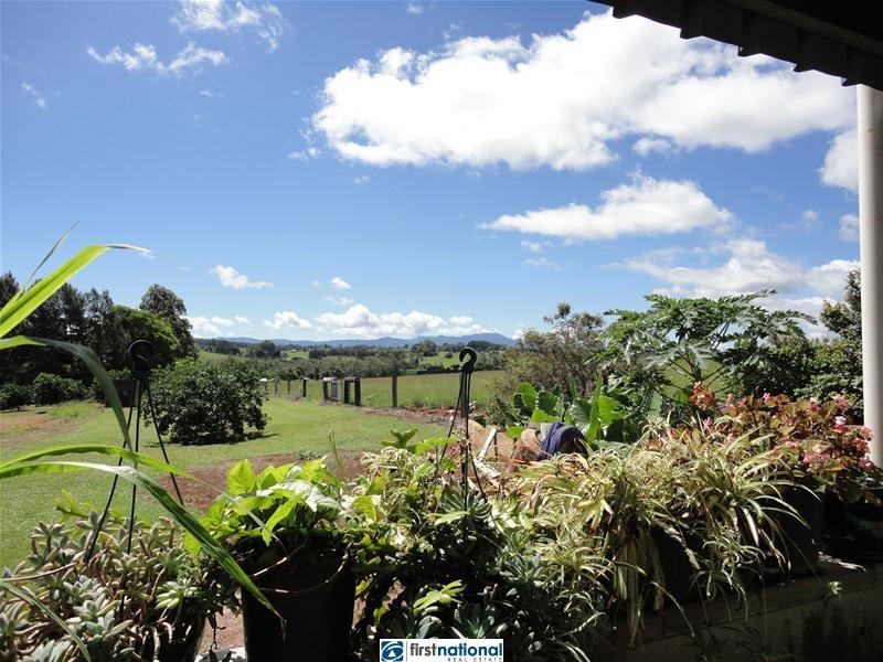 Lake Eacham QLD 4884