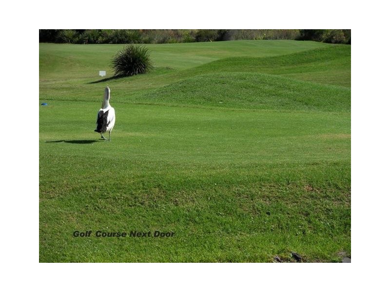 34/143-149 Corrimal Street, Wollongong NSW 2500