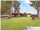 81 Gibson Avenue, Werrington NSW 2747