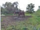 431 Western Approach Road, Port Lincoln SA 5606