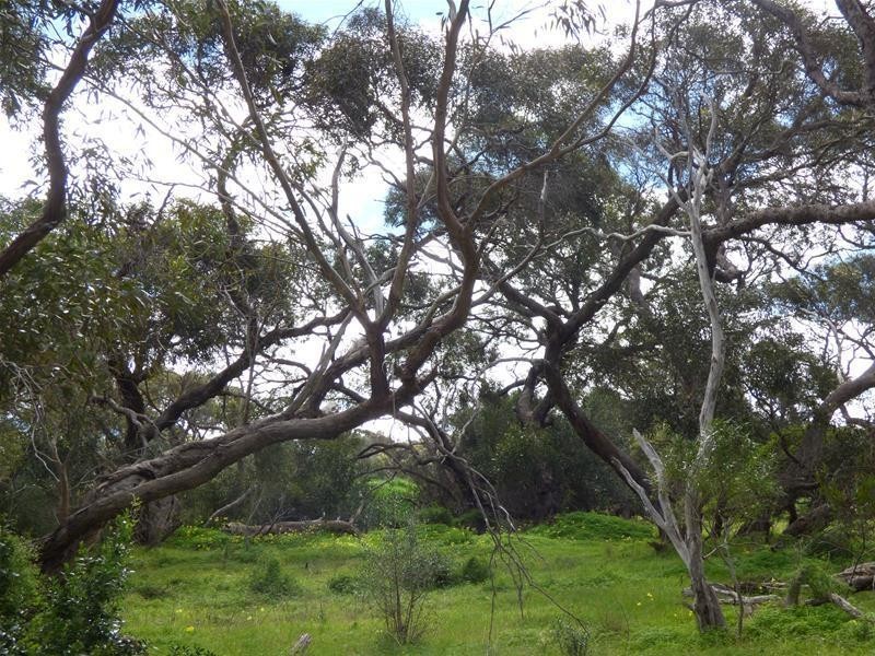 Lot 2, 27 Happy Valley Road, Port Lincoln SA 5606