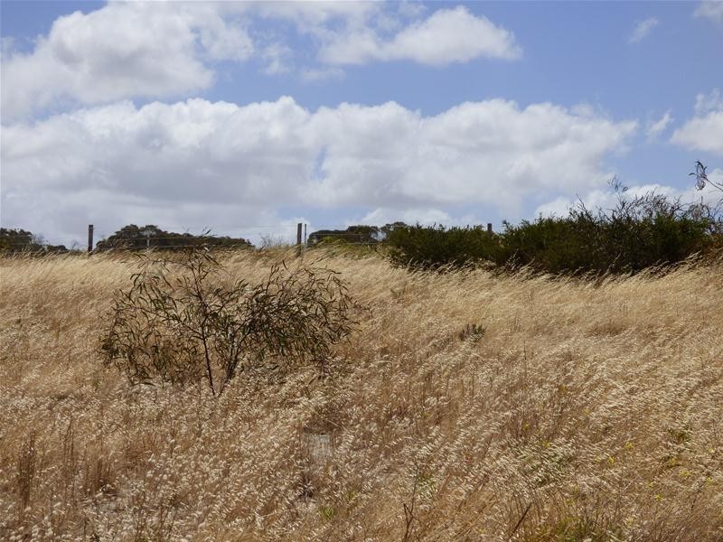 Lot 46, 10 Nootina Road, Port Lincoln SA 5606