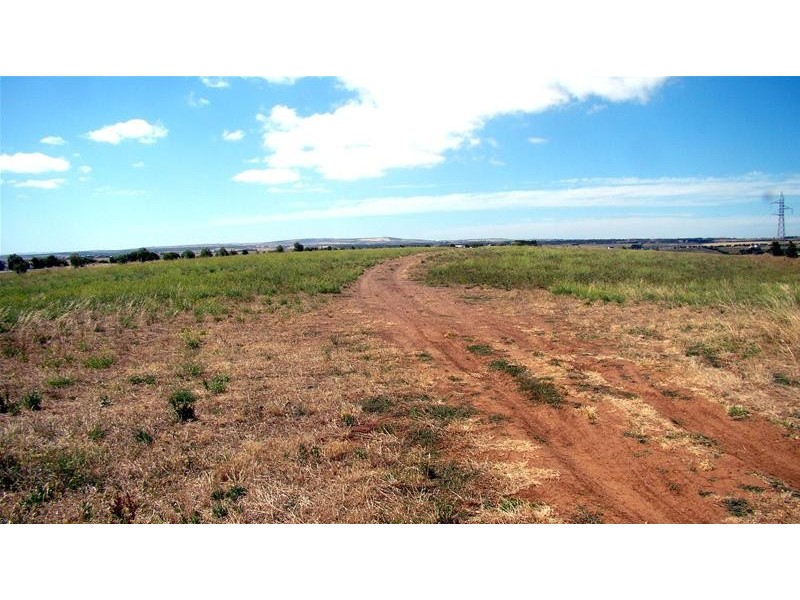 Lot 177, Lot 177 Falcon Court, Boston SA 5607