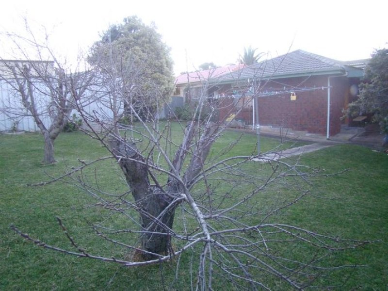 47 Normandy Place, Port Lincoln SA 5606