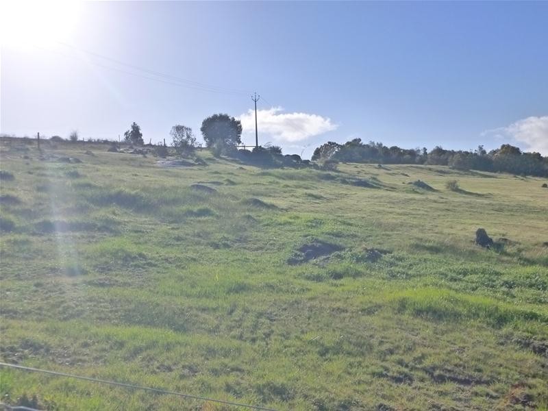 Lot 128, 128 Tiatuckia Drive, Boston SA 5607