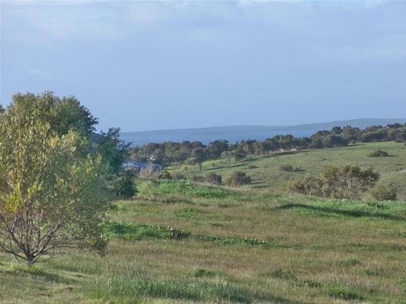 Lot 128, 128 Tiatuckia Drive, Boston SA 5607