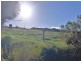 Lot 128, 128 Tiatuckia Drive, Boston SA 5607