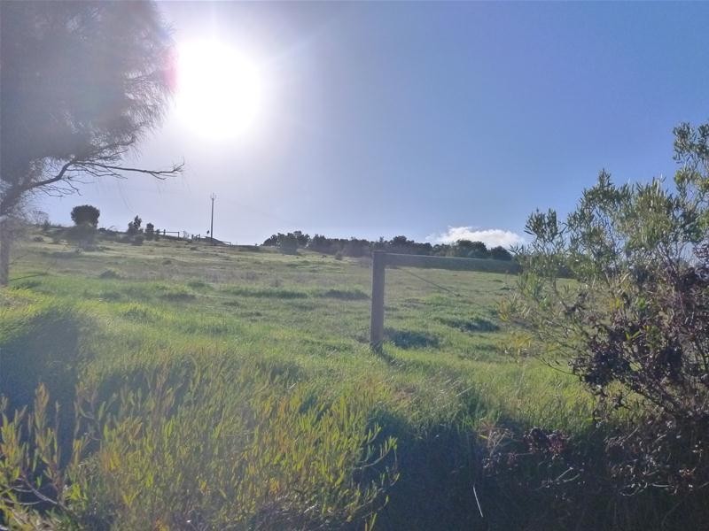 Lot 128, 128 Tiatuckia Drive, Boston SA 5607