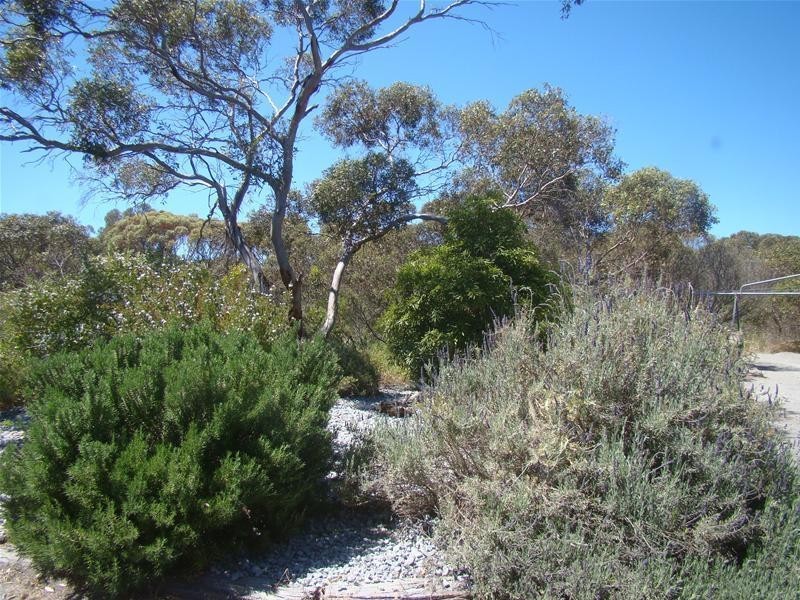 124 Concorde Road, Port Lincoln SA 5606