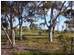/ Wharminda Primary School, Wharminda SA 5603