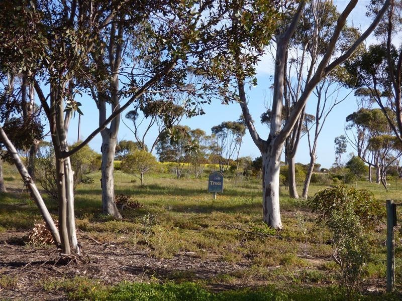 / Wharminda Primary School, Wharminda SA 5603