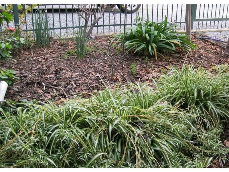 15 Baltimore Street, Port Lincoln SA 5606