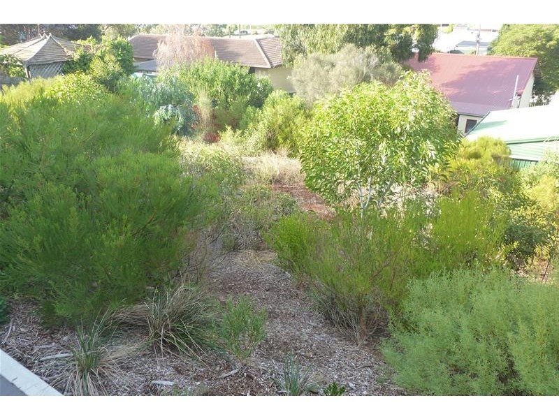 5 Tod Street, Port Lincoln SA 5606